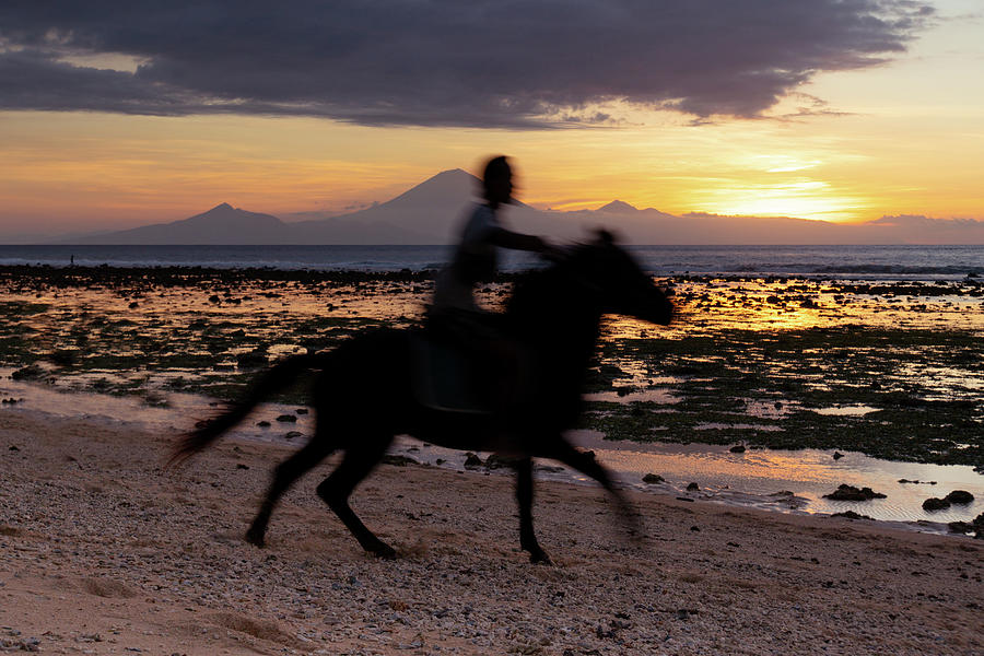 Sunset Photograph - Galloping On Gili Air by Max Blumenthal