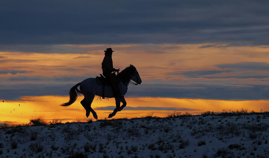 Galloping Up Ridge at Sunset Photograph by Cheryl Strahl Galloping Up Ridge at Sunset Photograph by Cheryl Strahl