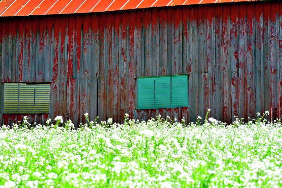 Galvanized Tin On Barn Windows Photograph by Jerry Sodorff