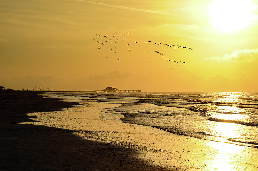 A flock of seagulls flies over the ocean on Galveston Island in Texas Photograph by Gunther Allen