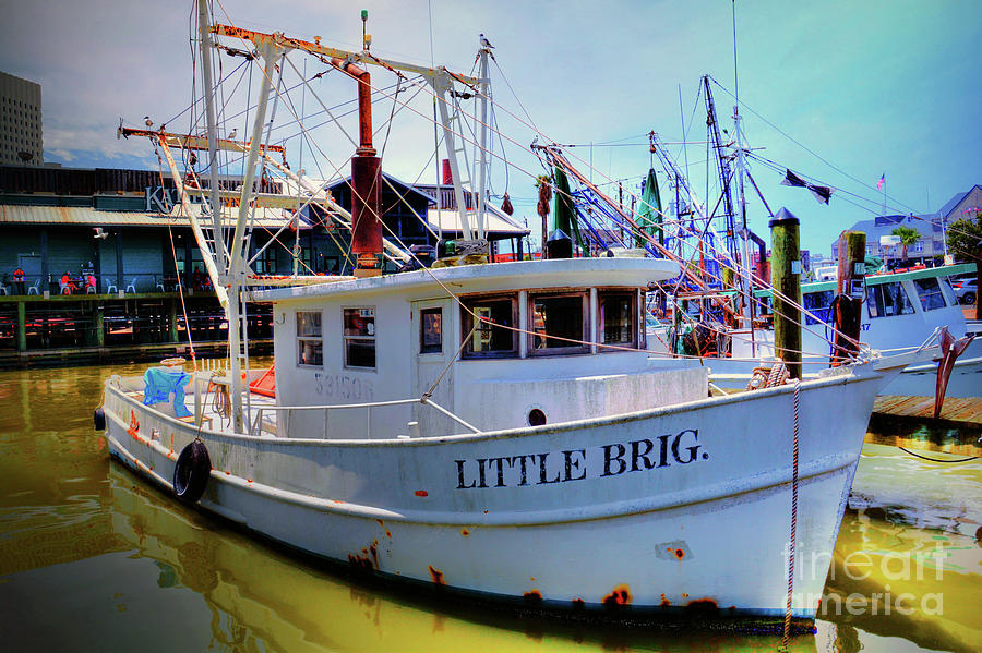 Galveston Texas Shrimp Boat  Photograph by Savannah Gibbs
