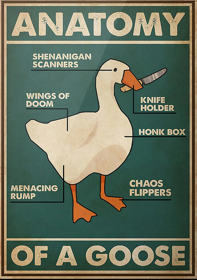 Game Anatomy Of Goose Poster Poster humor quote Painting by Mia Oscar
