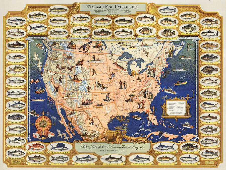 Game Fish Cyclopedia. - Map Digital Art by Owl Gallery - Fine Art America