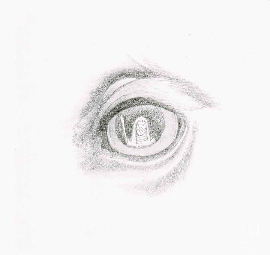 Gandalf in the Eye of Shadowfax Drawing by Gordon Palmer