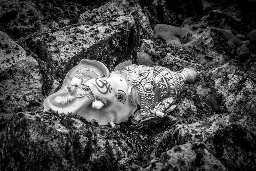 Ganesh Immersion Photograph by Sonny Marcyan