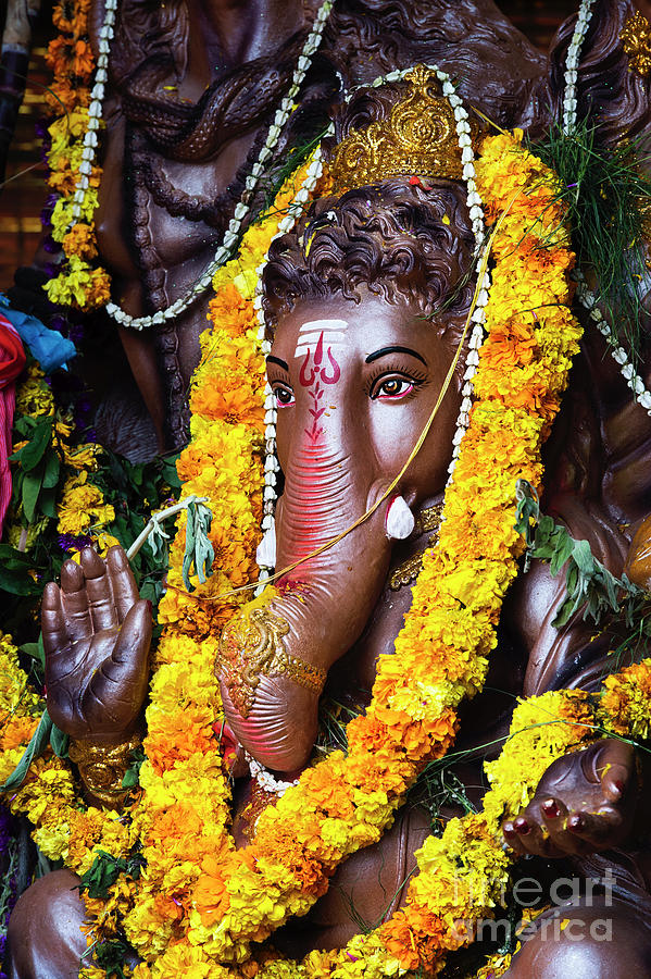 Ganesha Festival Statue Photograph by Tim Gainey