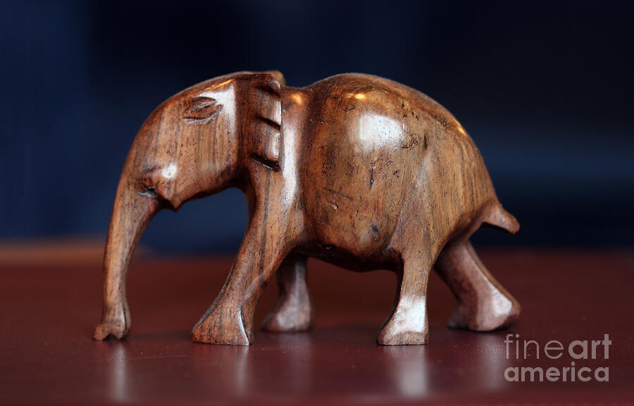 Elephant Photograph - Ganesha Hindu God Wood Carving by Wernher Krutein