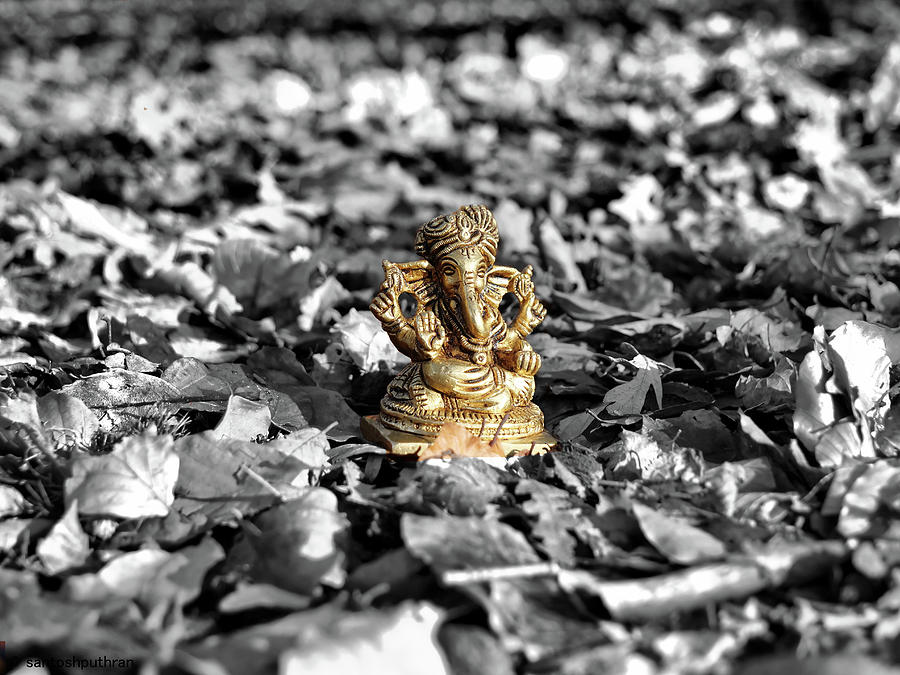 Ganesha in the woods by Santosh Puthran Ganesha in the woods by Santosh Puthran