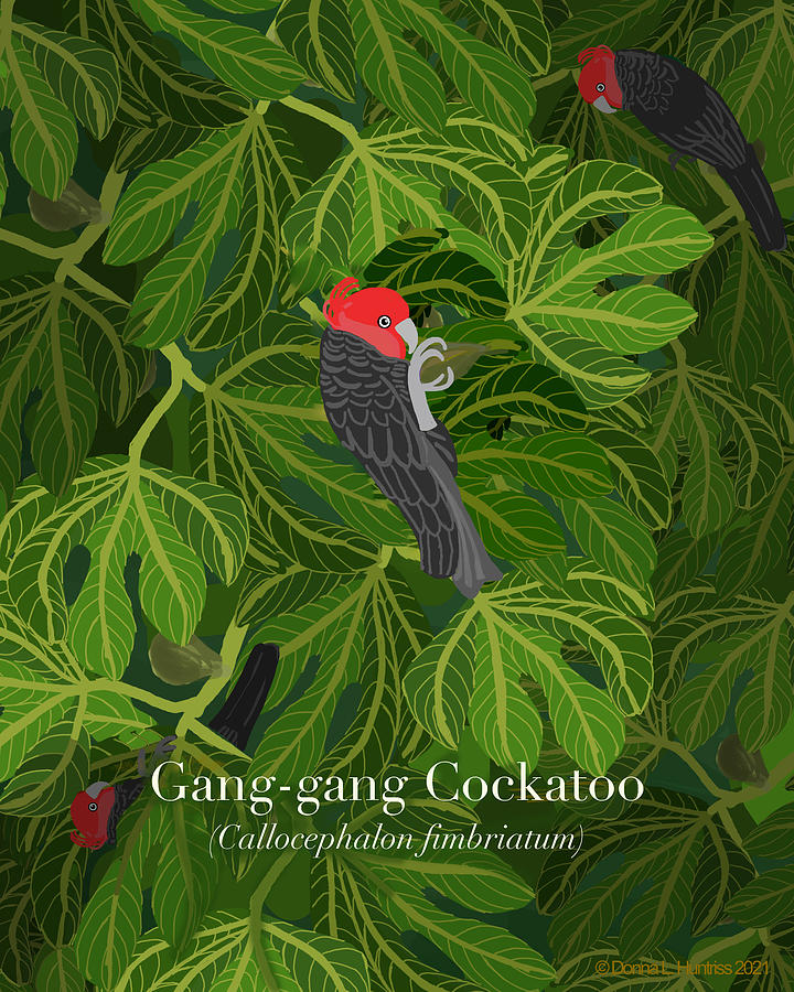 Gang-gang Cockatoos text version Digital Art by Donna Huntriss