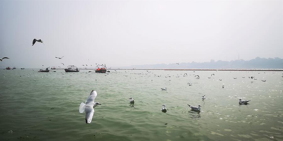 Ganges Navigators.  Photograph by Jarek Filipowicz