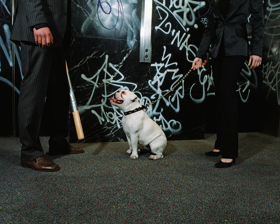 Gangsters with bulldog Photograph by Image Source