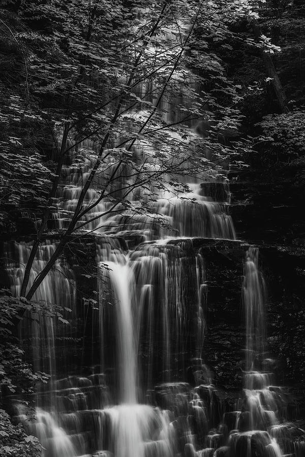 Ganoga Falls Black And White Photograph by Dan Sproul