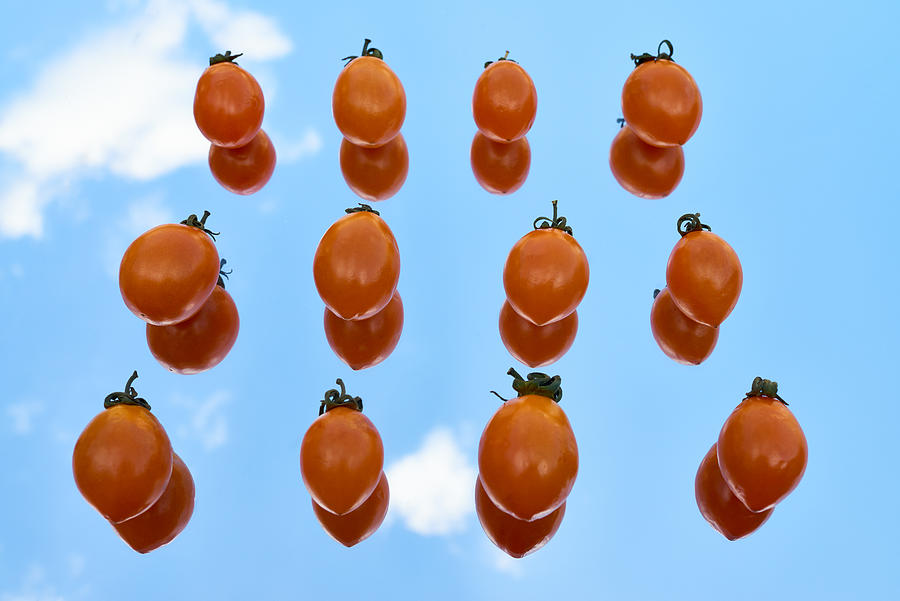 Gape tomato background Photograph by CliqueImages