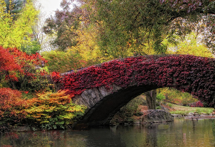 Gapstow Bridge in Autumn Photograph by Jessica Jenney