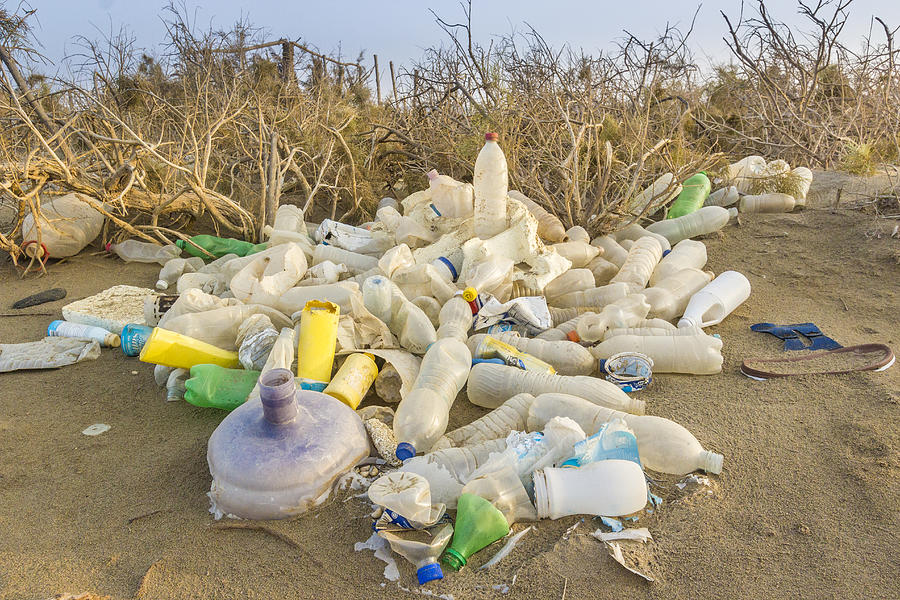 Garbage on the desert Photograph by Manfred Bortoli