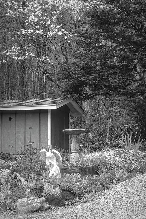 Garden Angel in Black and White Photograph by Debra and Dave Vanderlaan