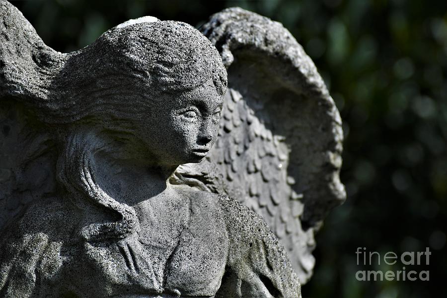 Garden Angel Photograph by Julie Adair