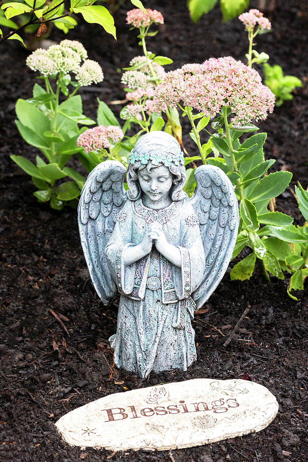 Garden Angel Photograph by Patty Colabuono