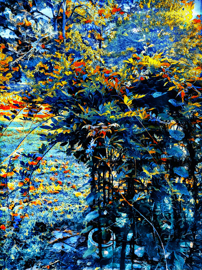 Garden Arbor As Tapestry  Digital Art by Pamela Smale Williams