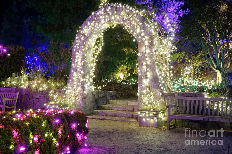 Garden Archway with Festive Lights Photograph by Maria Janicki