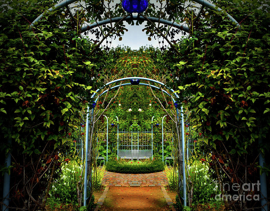 Garden Archway Photograph by Yvonne Johnstone