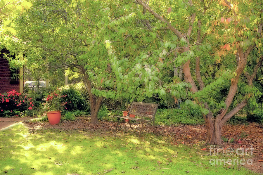 Garden at Ford House, Bridgetown, Western Australia Photograph by Elaine Teague