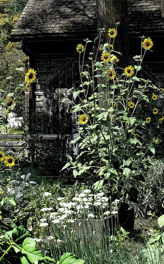 Garden, At Riverdale Mixed Media by Maria Faria Rodrigues