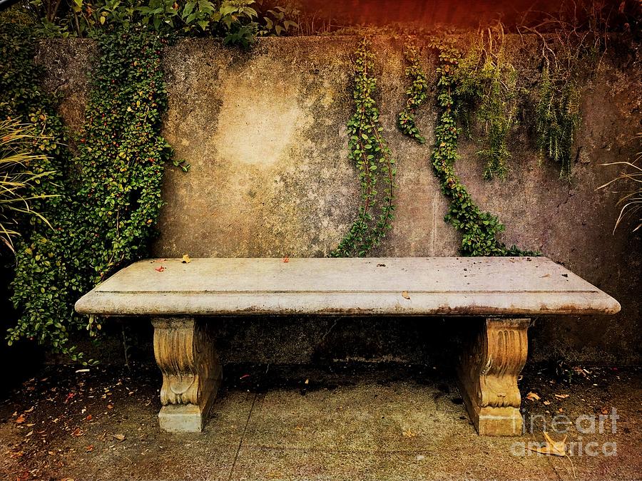 Garden Bench Photograph by Charlene Mitchell