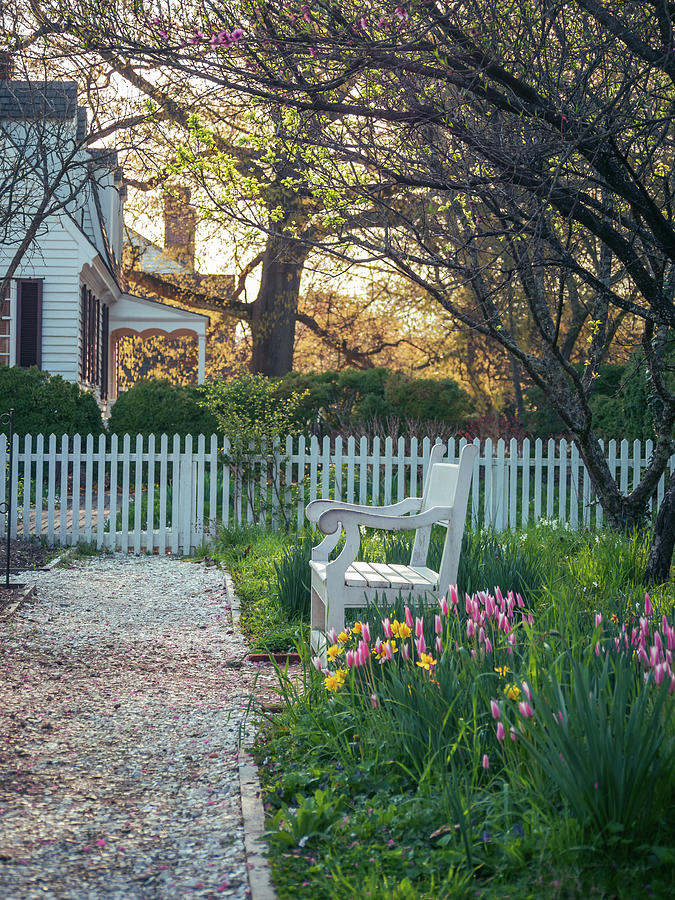 Garden Bench in the Spring Photograph by Rachel Morrison