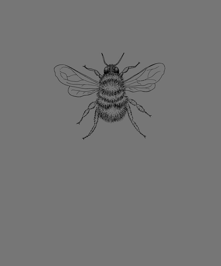 Garden Bumblebee Insect Drawing Shirt Drawing by Alicia Cosper