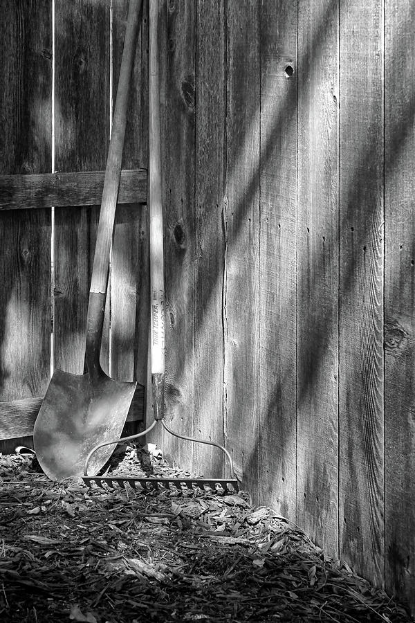 Garden Corner - Shovel, Rake, and Shadows Photograph by Nikolyn McDonald