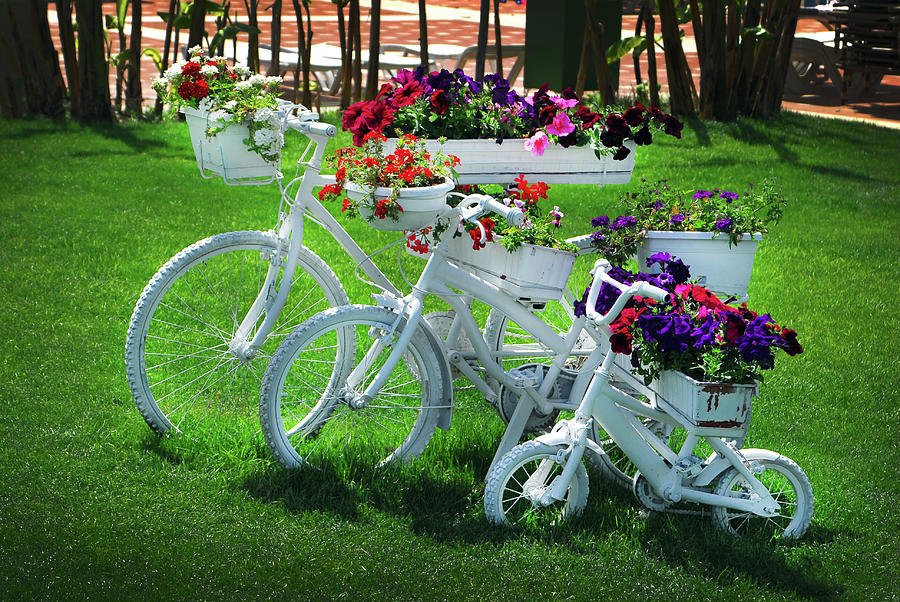 Garden Decoration With Bicycle Bike Painted With Flowers Photograph by Severija Kirilovaite