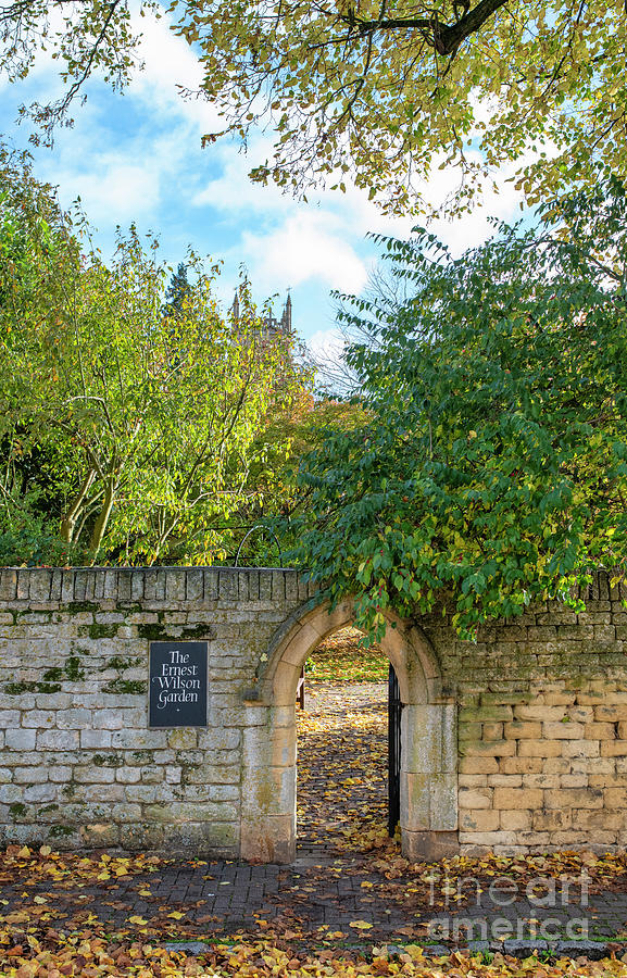 Garden Entrance in Autumn Photograph by Tim Gainey
