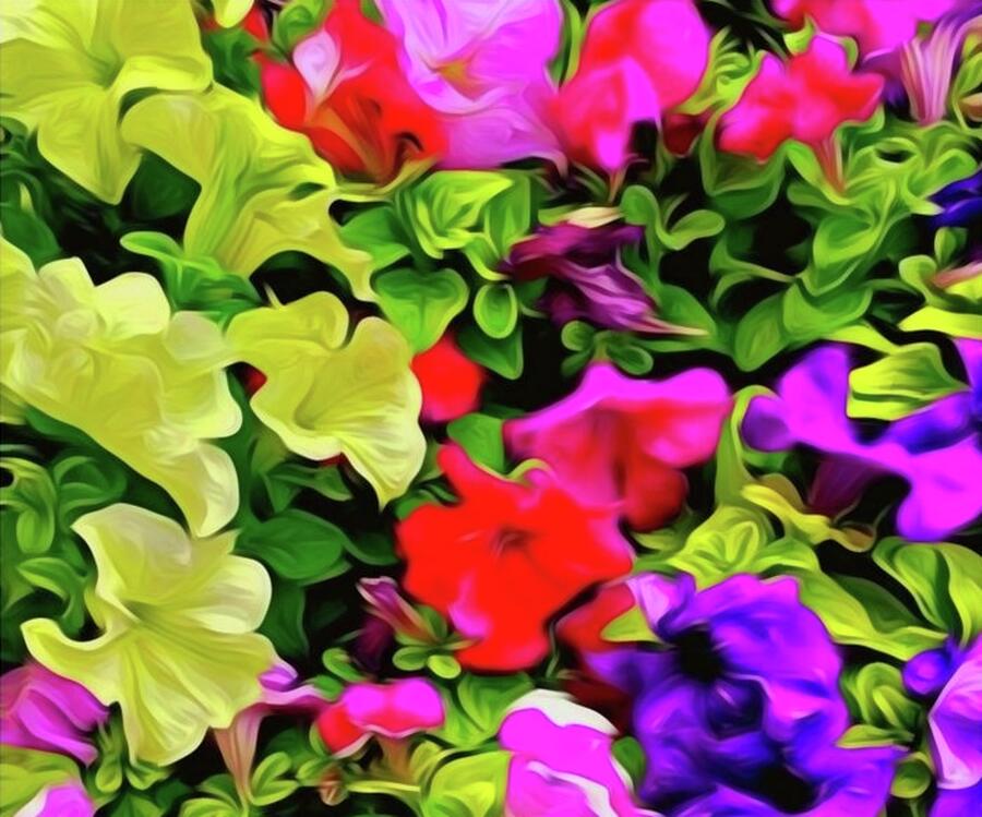 Flower Of Colors Photograph by Cherry Vercher Flower Of Colors Photograph by Cherry Vercher