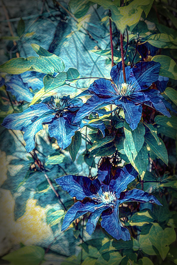 Garden Flowers in Blues Photograph by Debra and Dave Vanderlaan