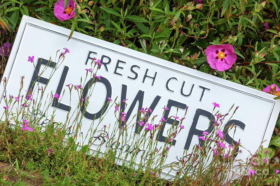 Garden flowers with fresh cut flower sign 0718 Photograph by Simon Bratt