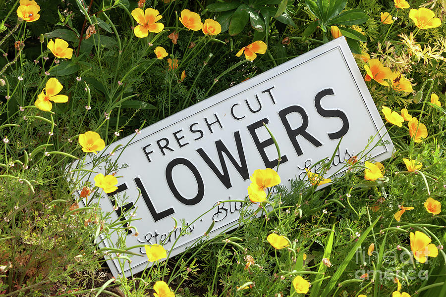 Garden flowers with fresh cut flower sign 0753 Photograph by Simon Bratt