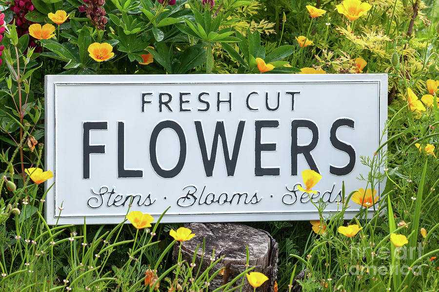 Garden flowers with fresh cut flower sign 0770 Photograph by Simon Bratt