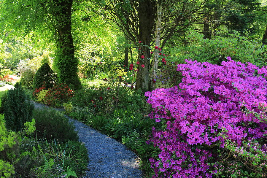 garden-footpath-photograph-by-jelena-dordevic-pixels