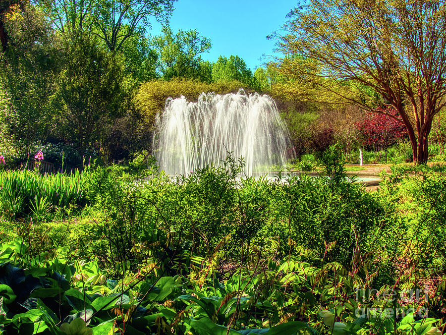 Garden Fountain Photograph by Amy Dundon