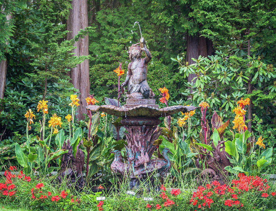 Garden fountain Photograph by Lilia S