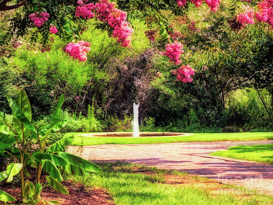 Garden Fountain With Crape Myrtle Pink Digital Art by Amy Dundon
