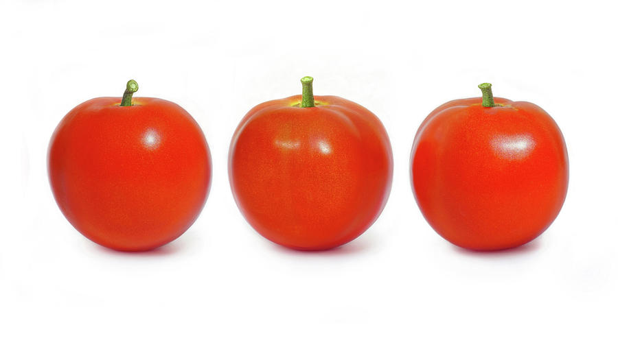 Garden Fresh Tomato Trio Photograph by Kathi Mirto