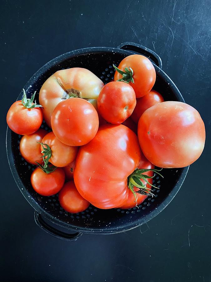 Garden Fresh Tomatoes Photograph by Blenda Studio