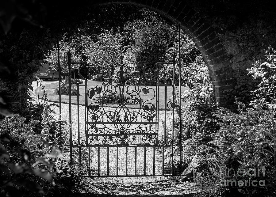 Garden gate Photograph by Fran Woods