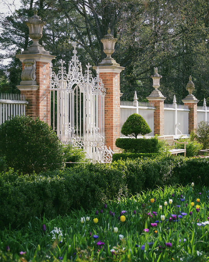 Garden Gate in April Photograph by Rachel Morrison