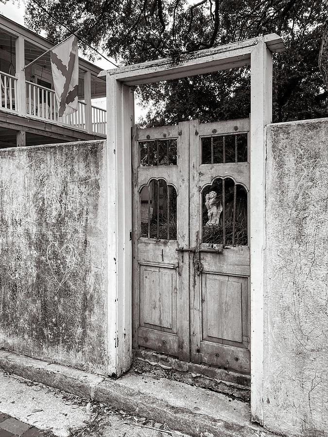 Garden Gate in Black and White in St. Augustine, Florida Photograph by Dawna Moore Photography