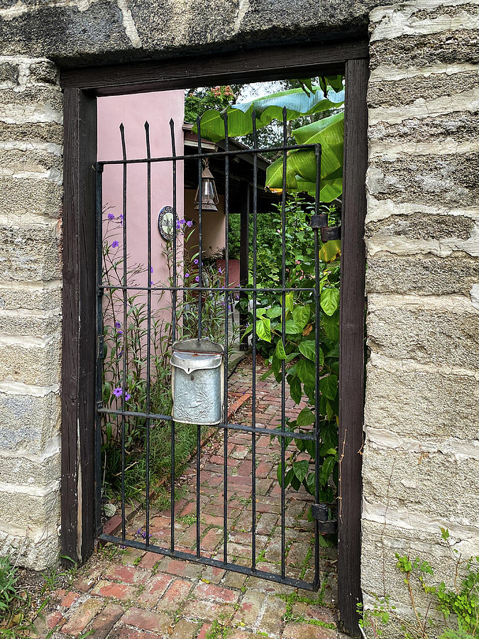 Garden Gate in St. Augustine, Florida Photograph by Dawna Moore Photography