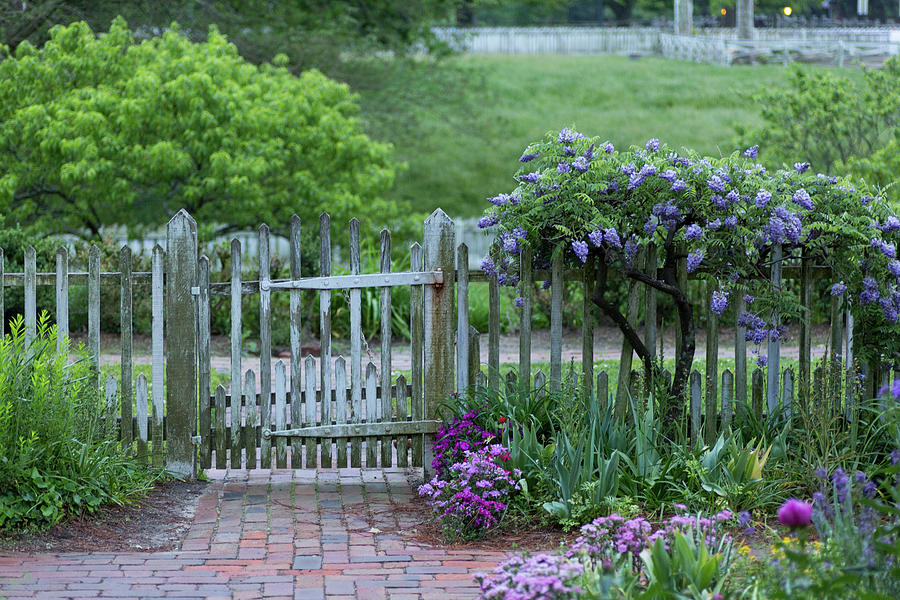 Garden Gate in the Spring Photograph by Rachel Morrison