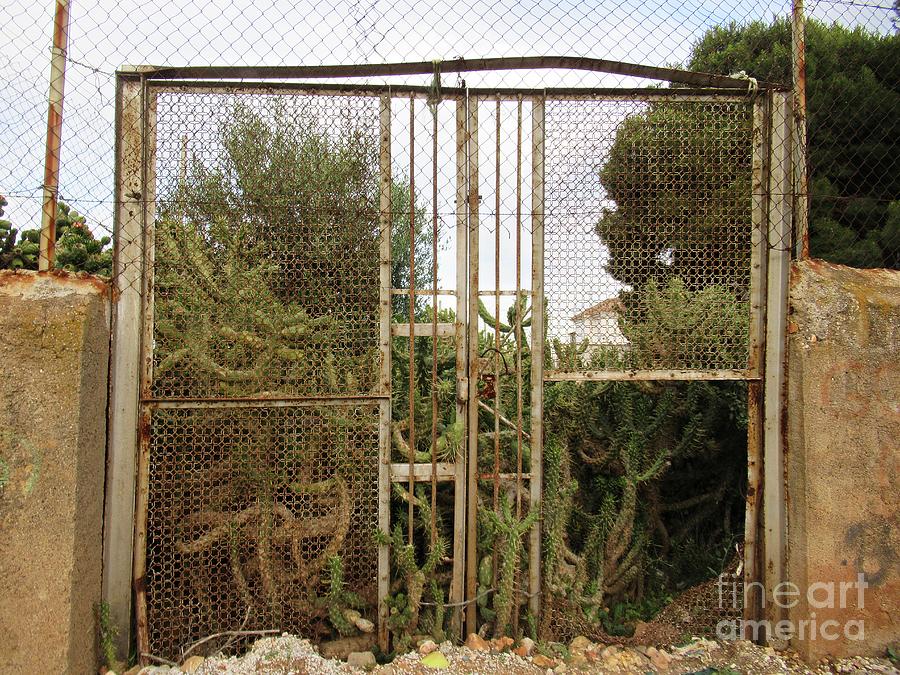 Garden gate in Torremolinos Photograph by Chani Demuijlder